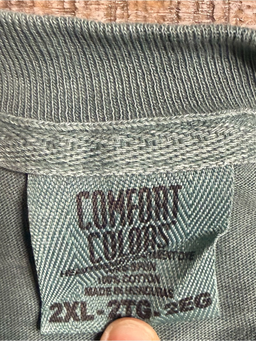 Comfort Colors Green Graphic Tee with I dilly I dally print - Picture 2 of 6